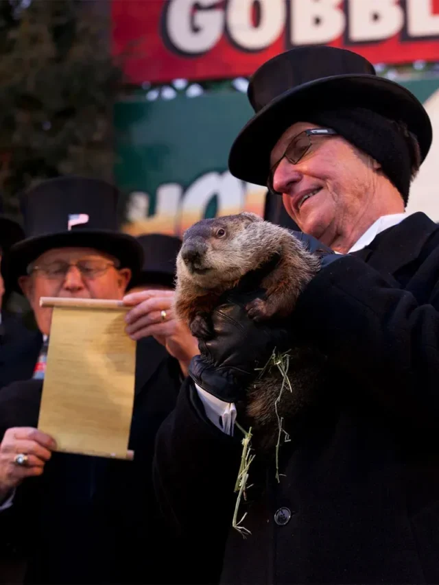 What Groundhog Predict for 2023?